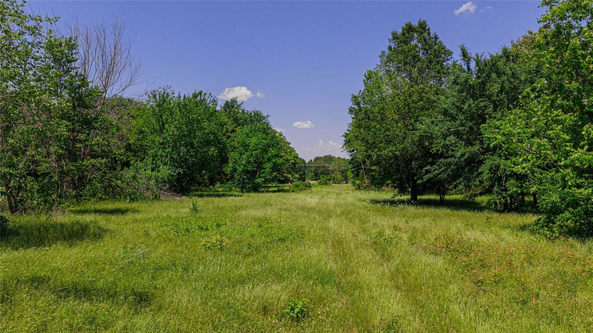 44 acres in Titus County - photo 21