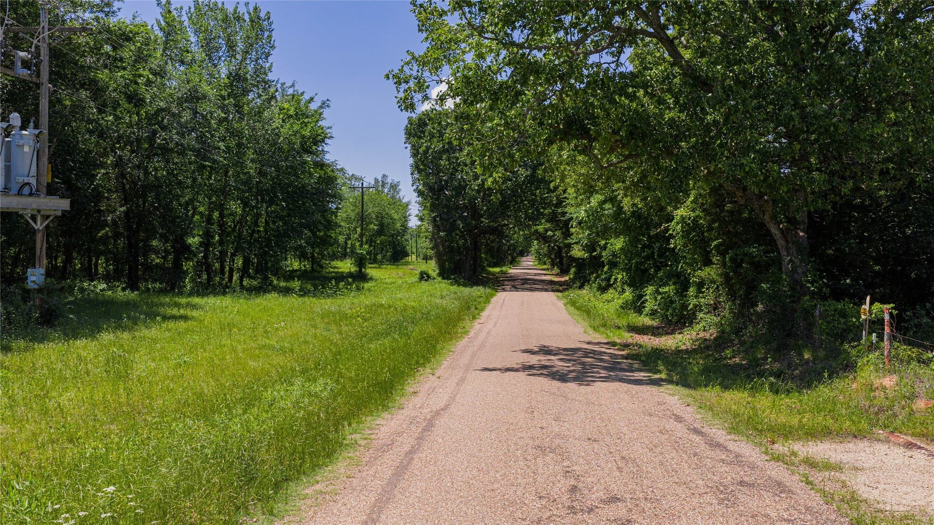 44 acres in Titus County - photo 22