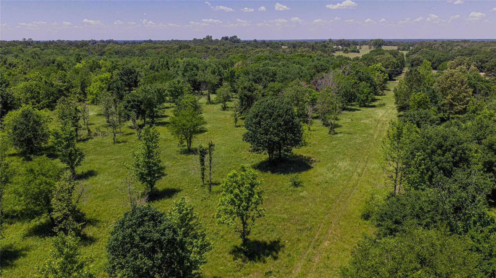 44 acres in Titus County - photo 12