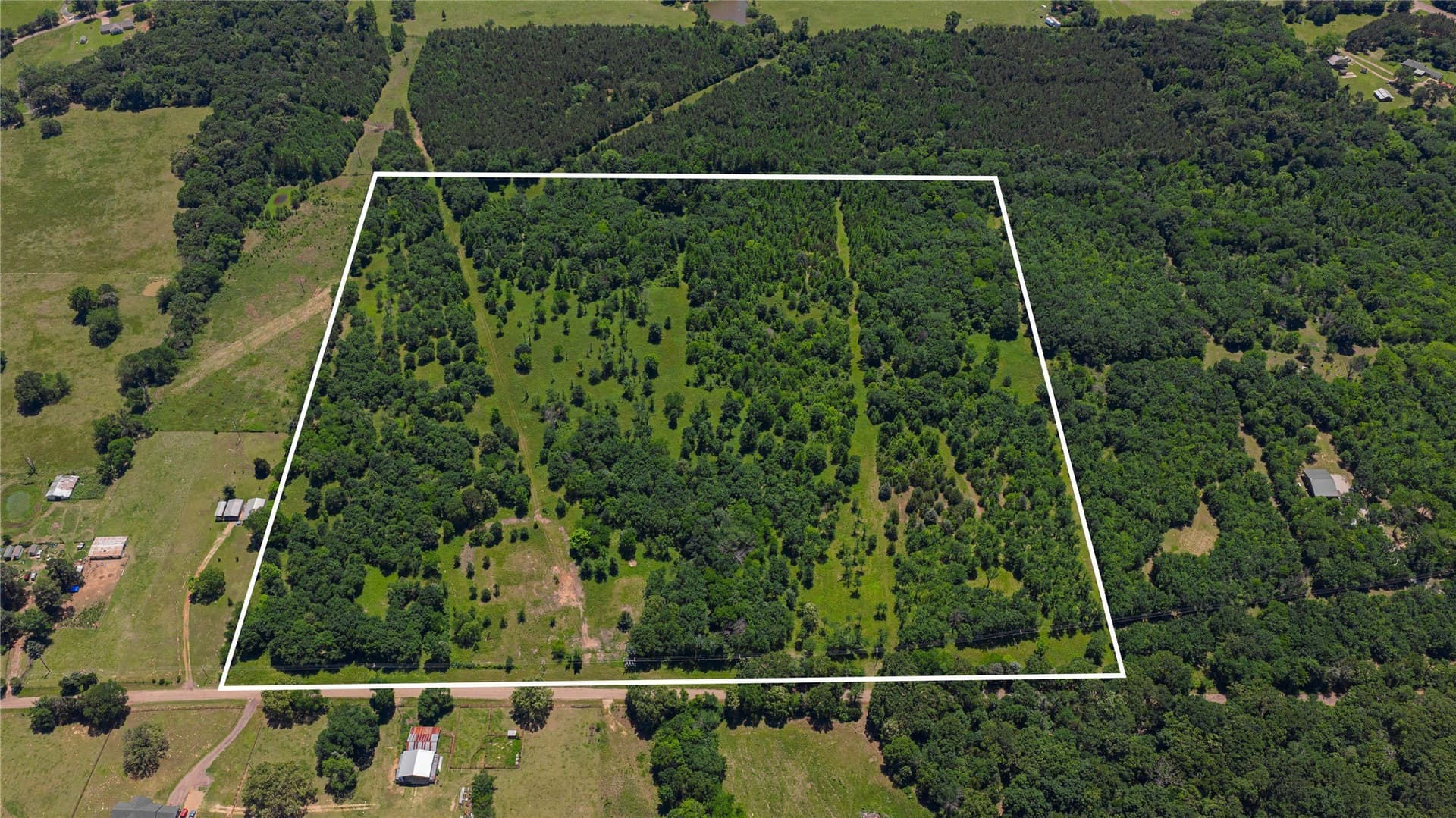 44 acres in Titus County gallery image 2