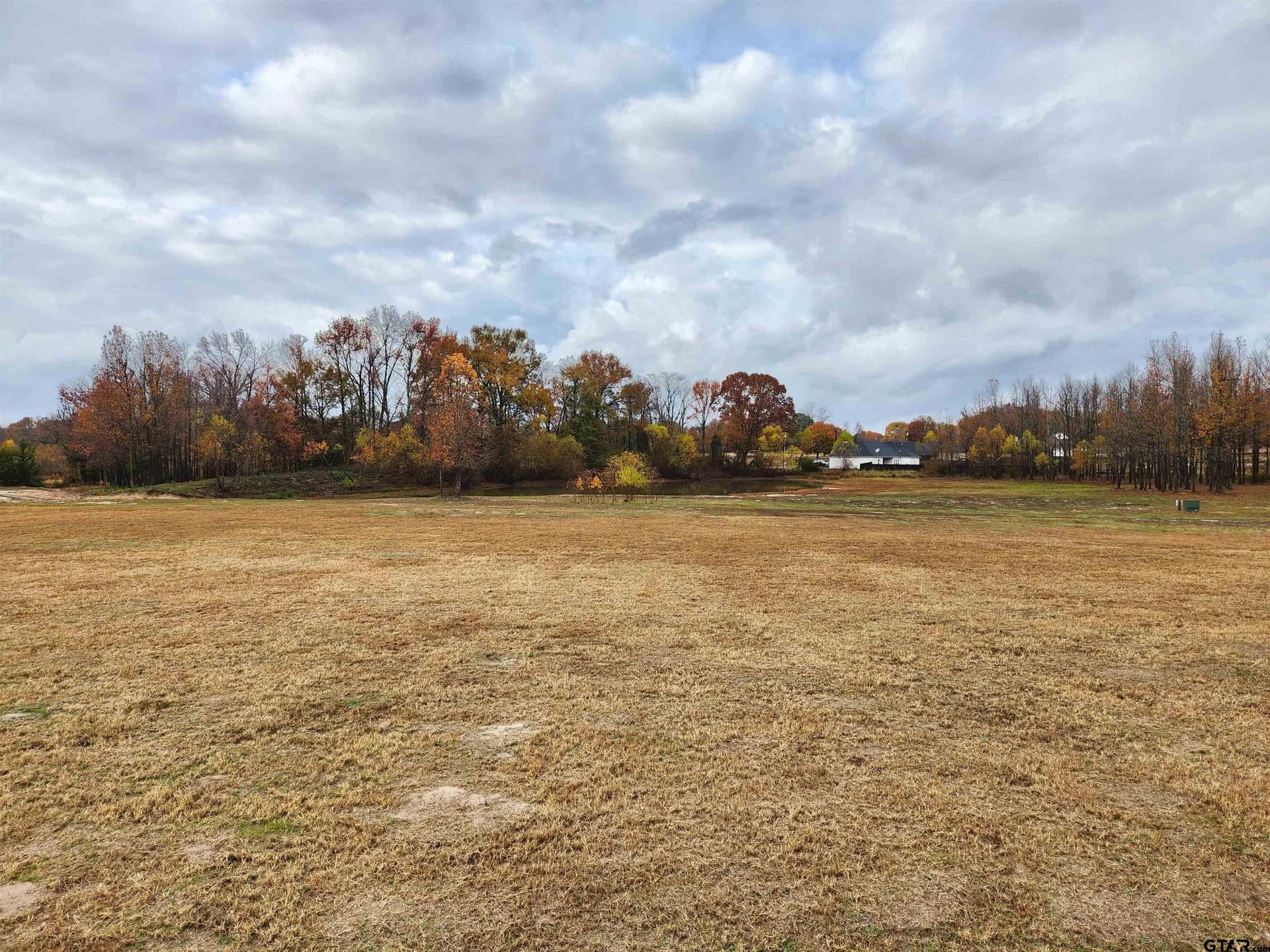 8.61 acres in Wood County gallery image 3