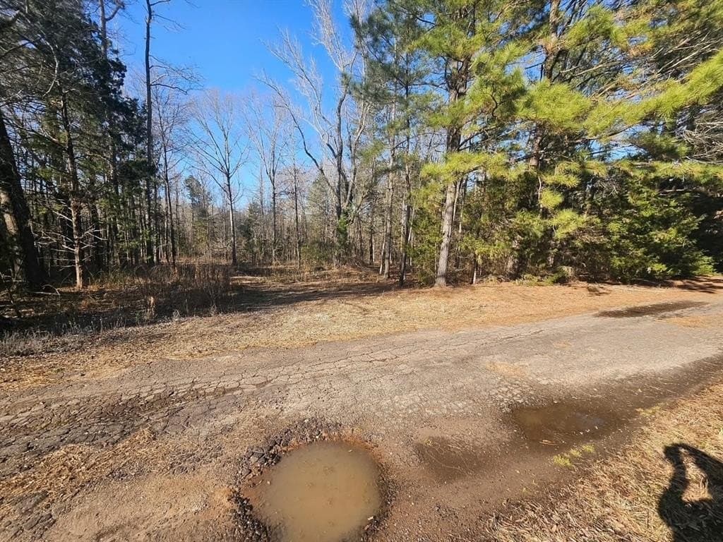 4.8 acres in Camp County featured view