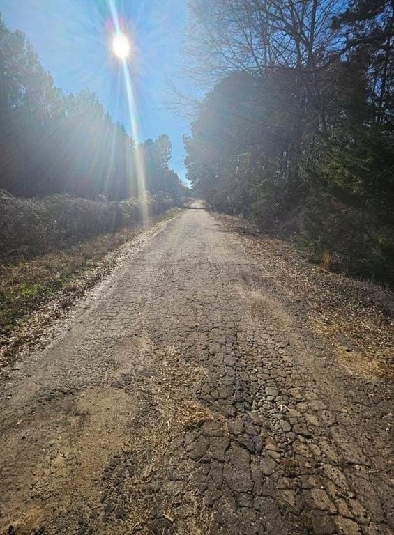 4.8 acres in Camp County gallery image 4