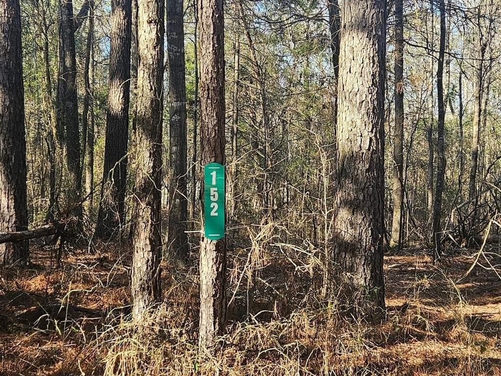 4.8 acres in Camp County gallery image 3