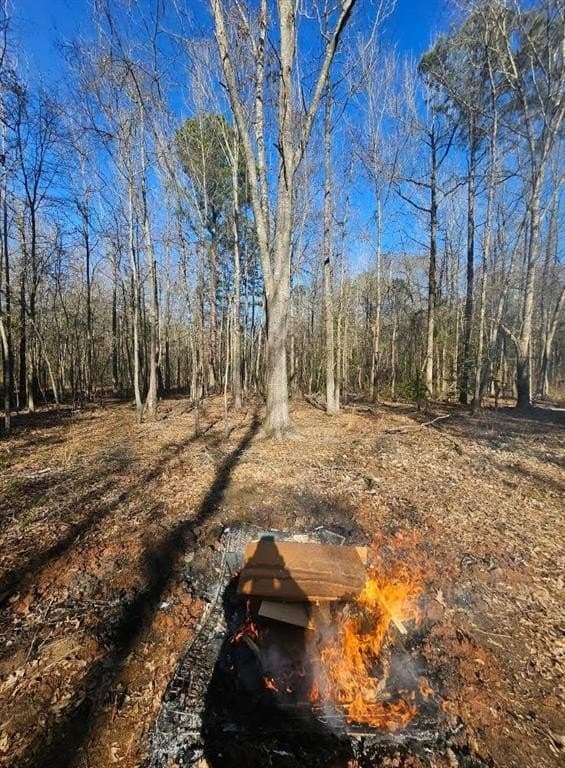 4.8 acres in Camp County gallery image 2