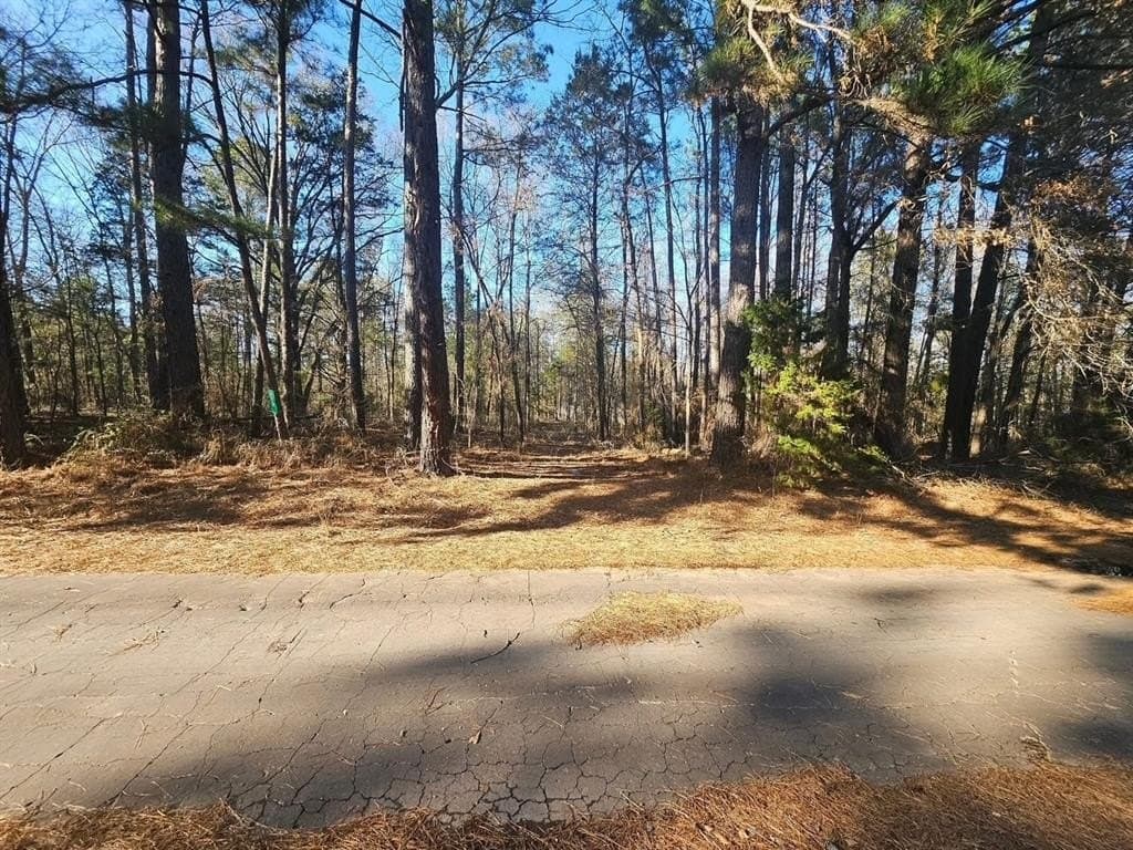 4.8 acres in Camp County