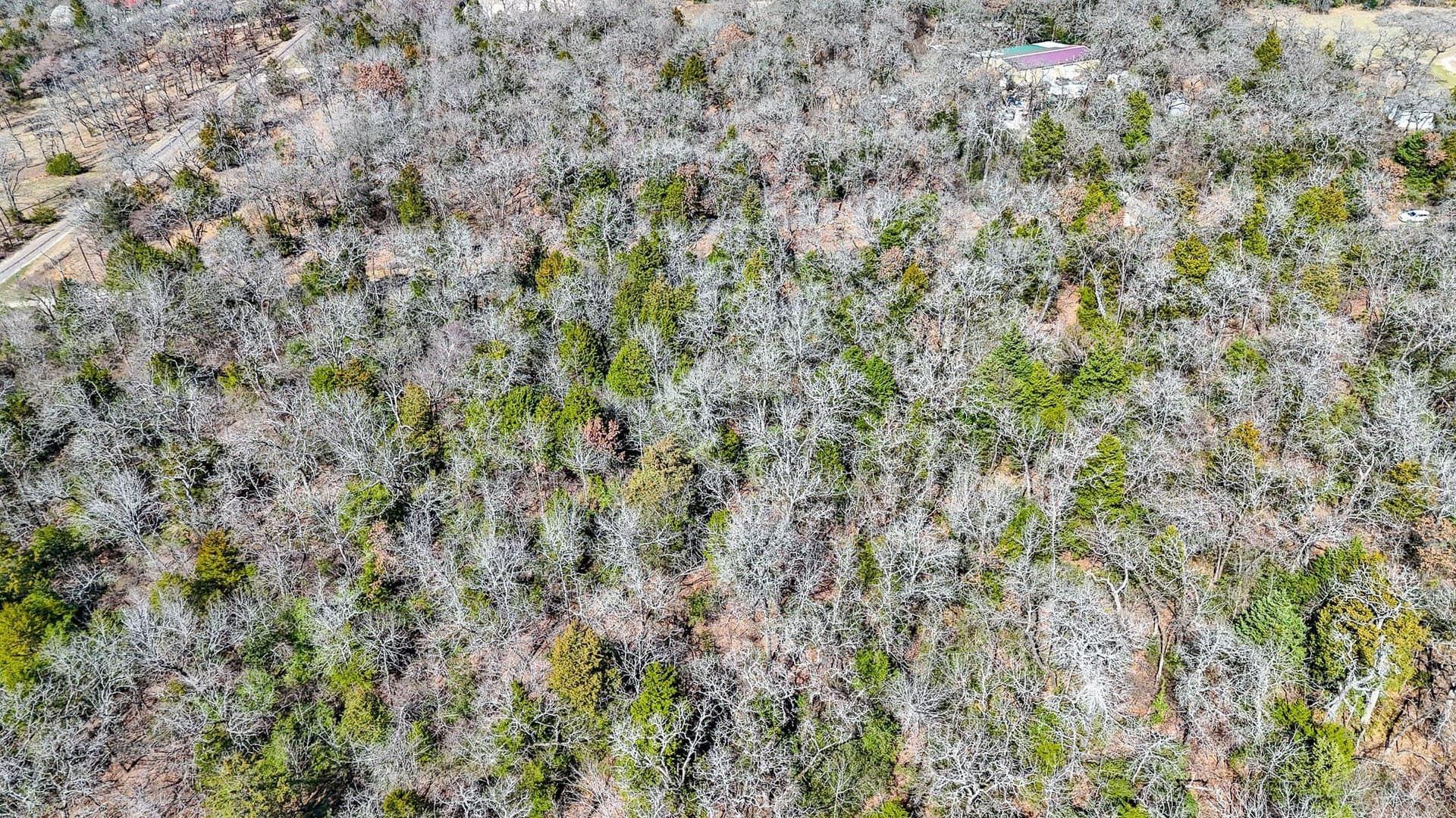 1 acres in Freestone County - photo 13