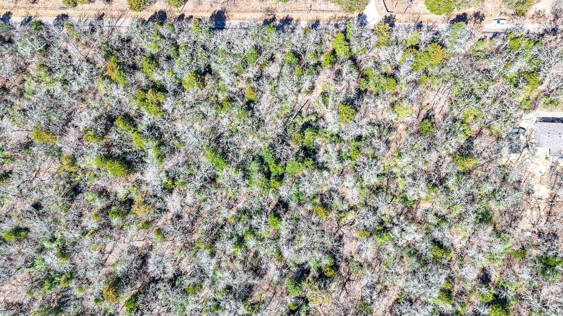 1 acres in Freestone County - photo 10
