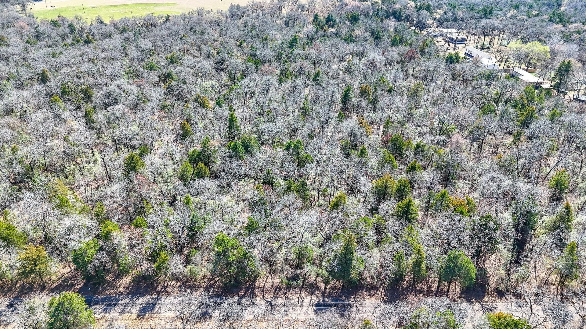 1 acres in Freestone County - photo 6