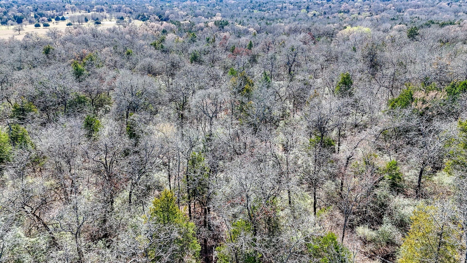 1 acres in Freestone County - photo 14