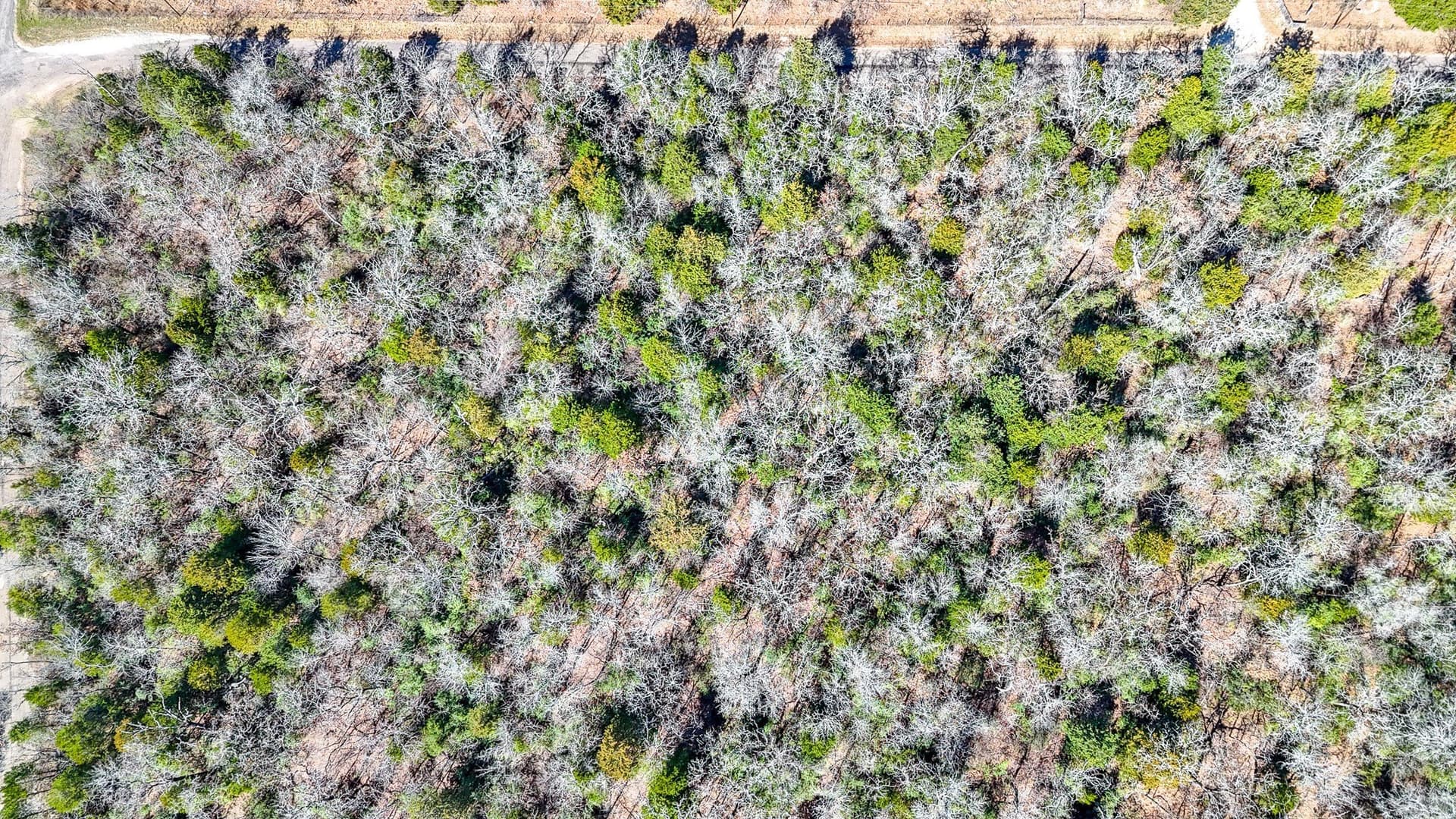 1 acres in Freestone County - photo 9