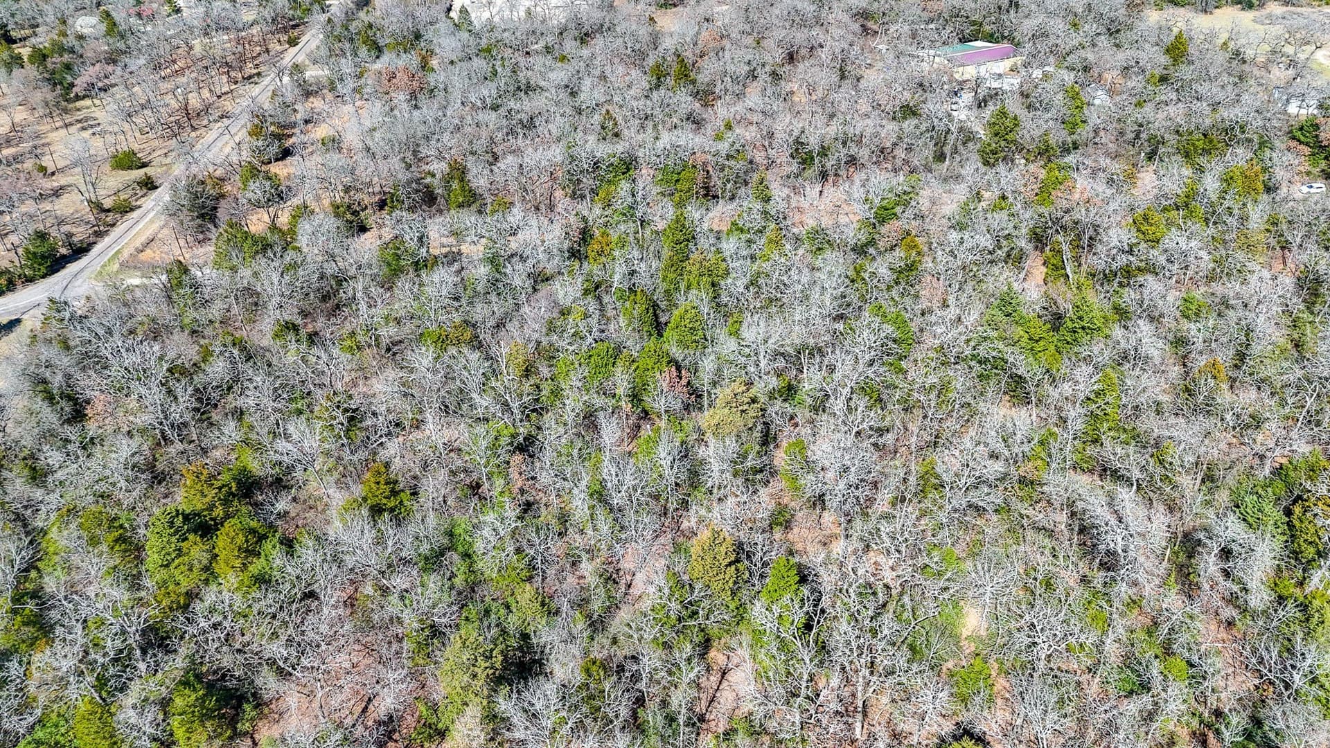 1 acres in Freestone County - photo 12