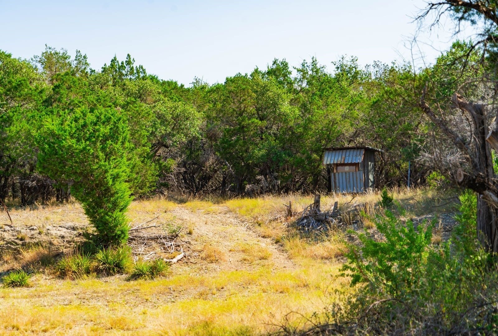 40 acres in Travis County - photo 7
