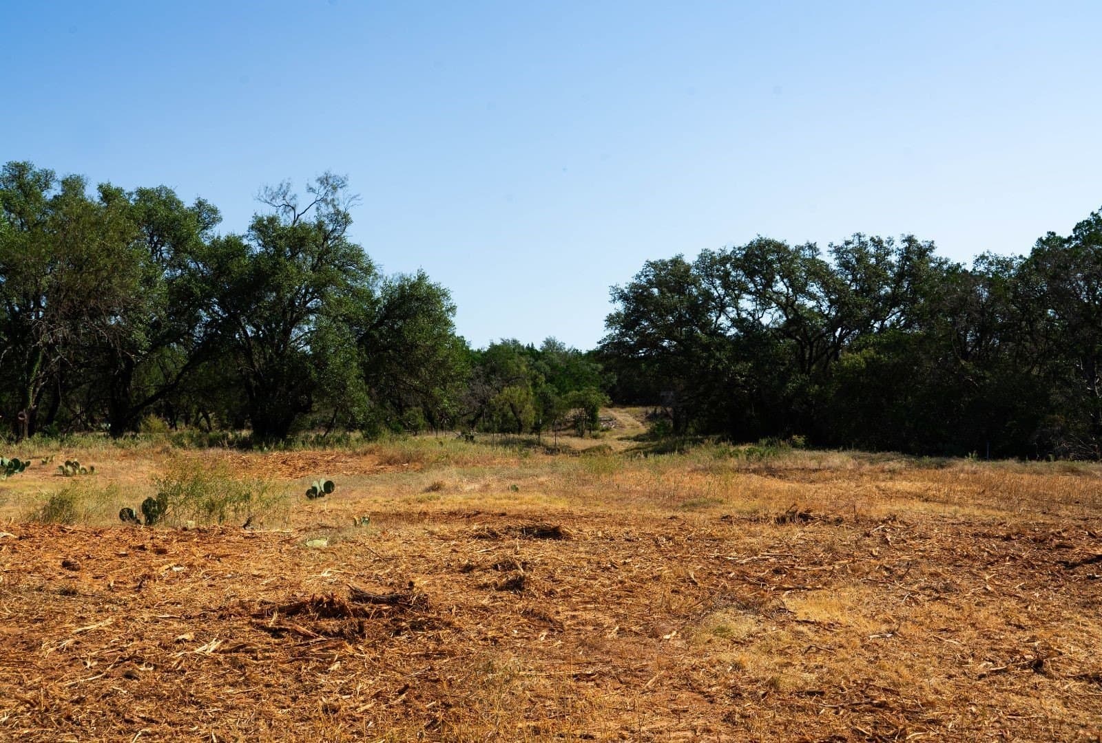 40 acres in Travis County - photo 17