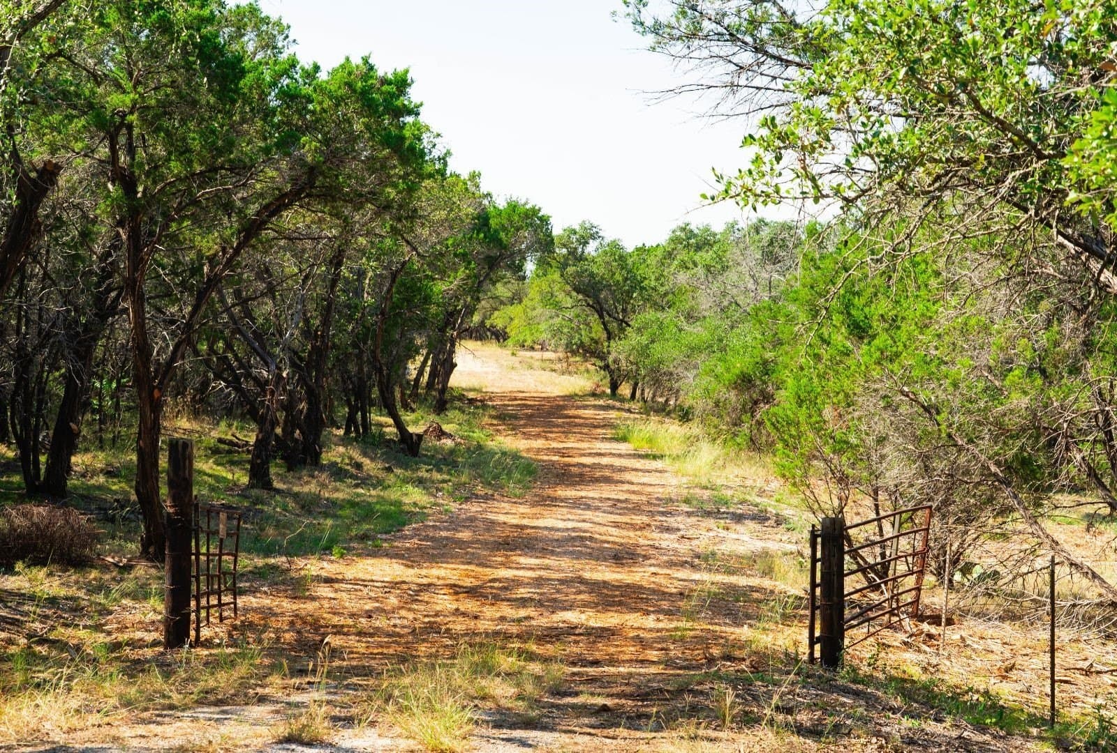 40 acres in Travis County