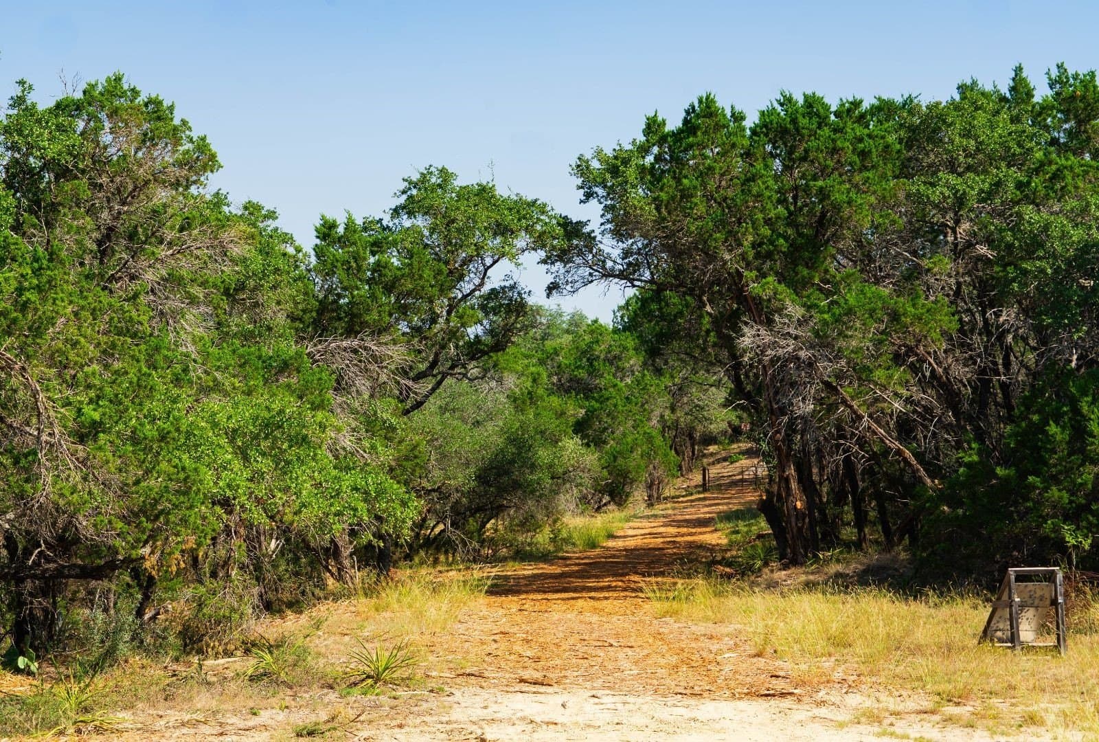 40 acres in Travis County - photo 4