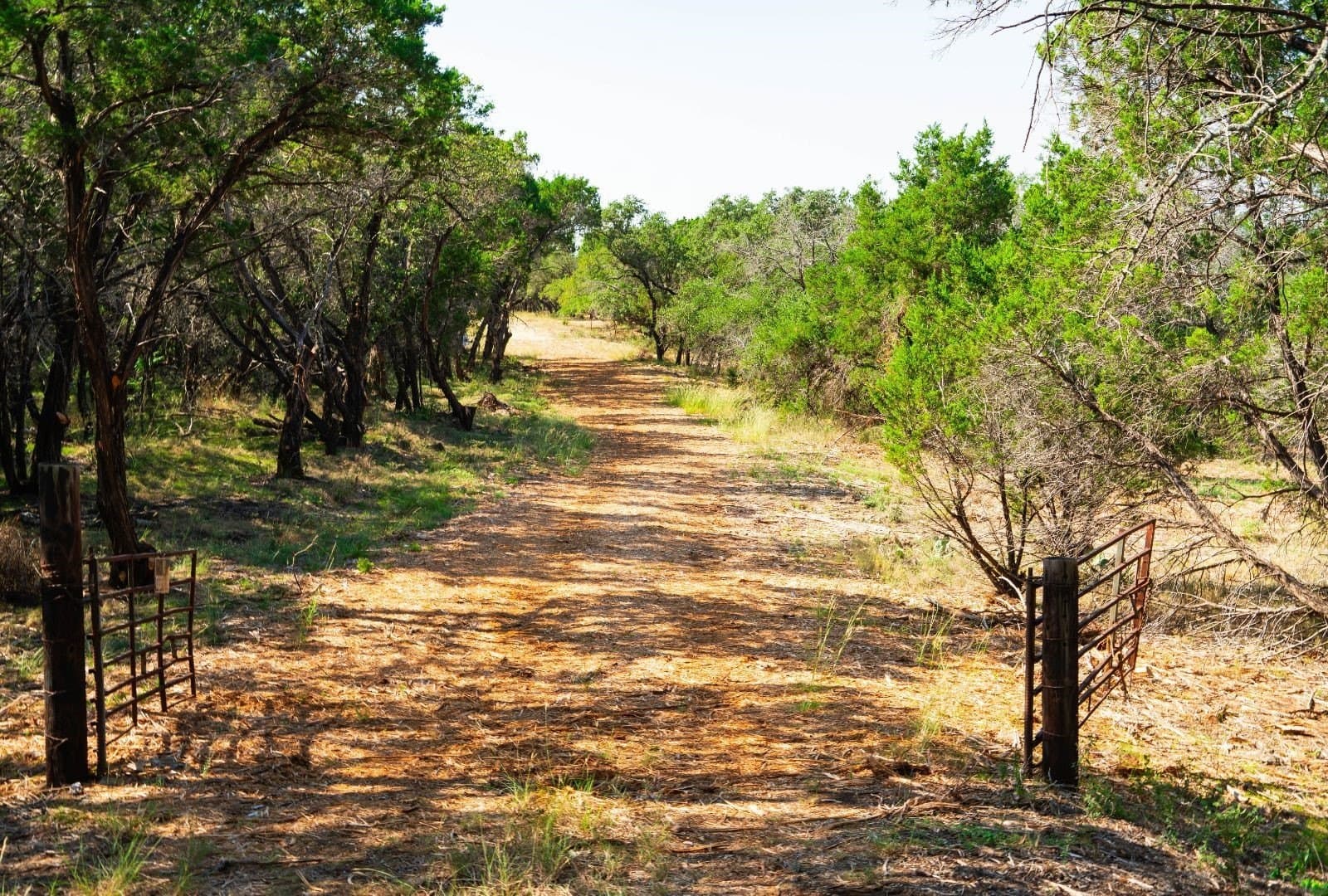 40 acres in Travis County - photo 23