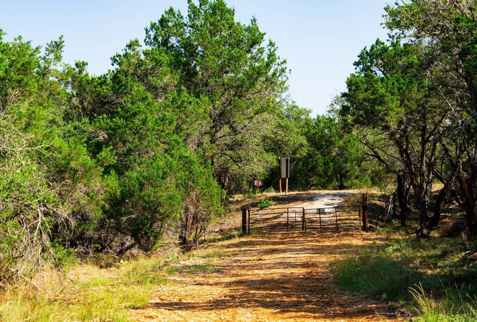 40 acres in Travis County - photo 9