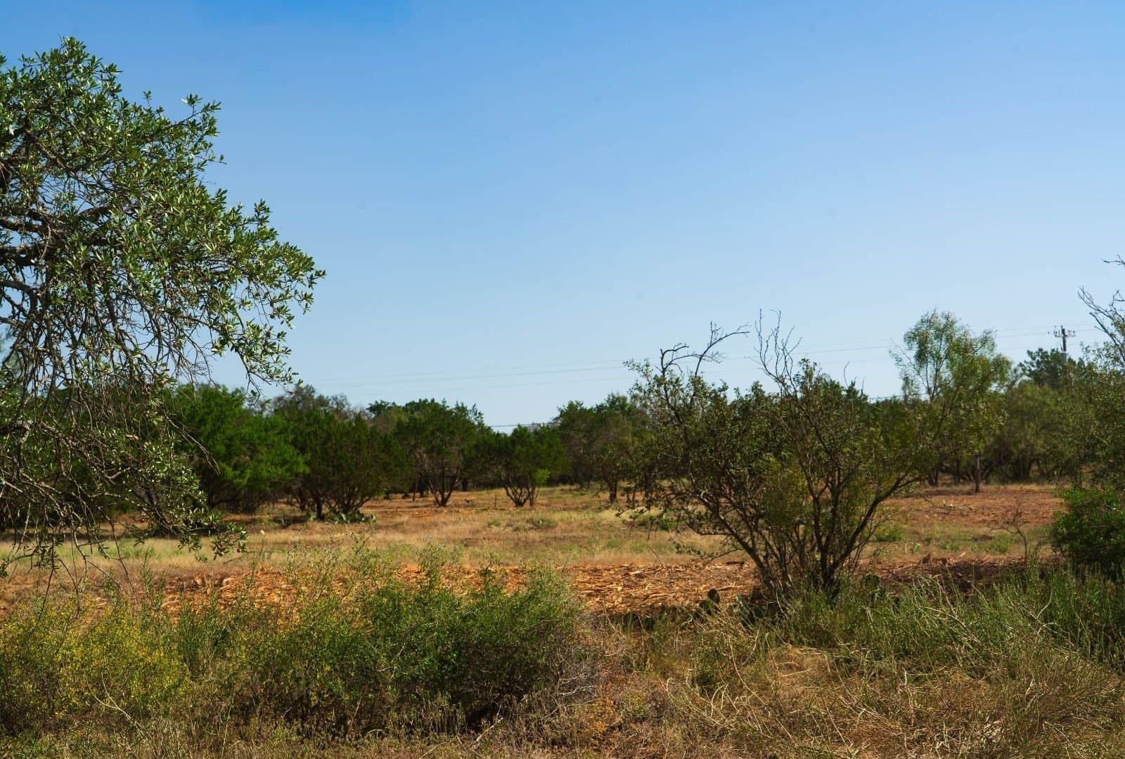 40 acres in Travis County - photo 13