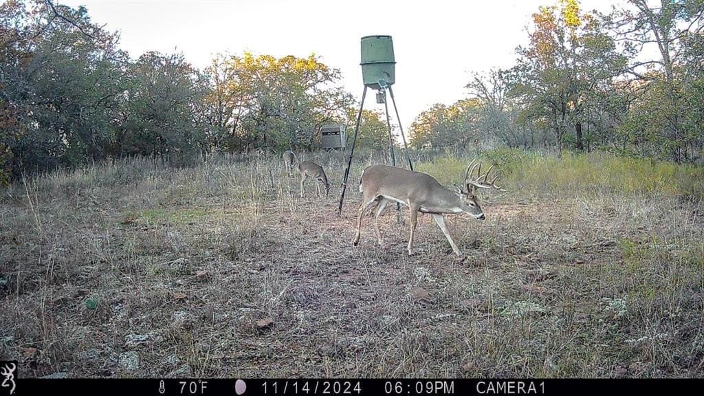 149.39 acres in Jack County gallery image 4