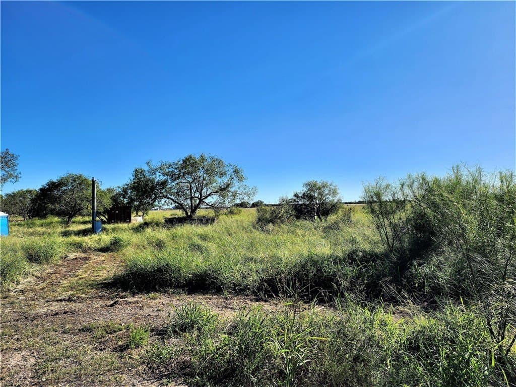 1.5 acres in San Patricio County gallery image 4