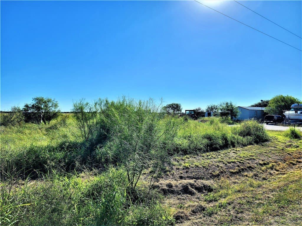 1.5 acres in San Patricio County gallery image 3