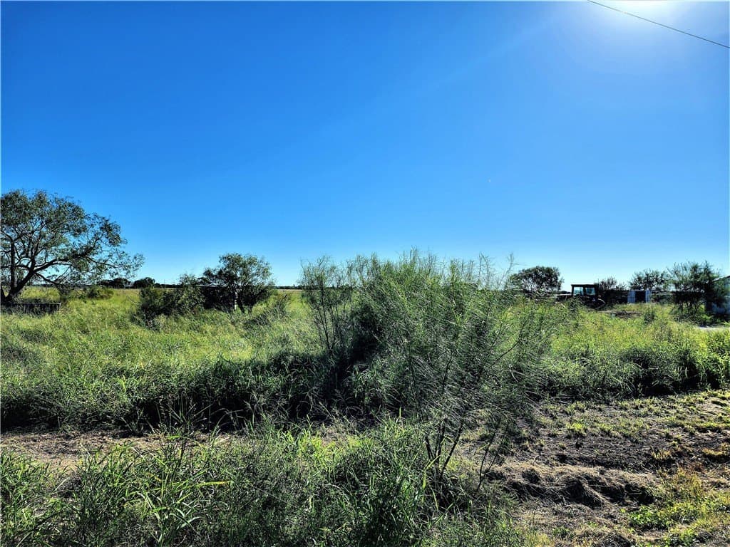 1.5 acres in San Patricio County gallery image 2