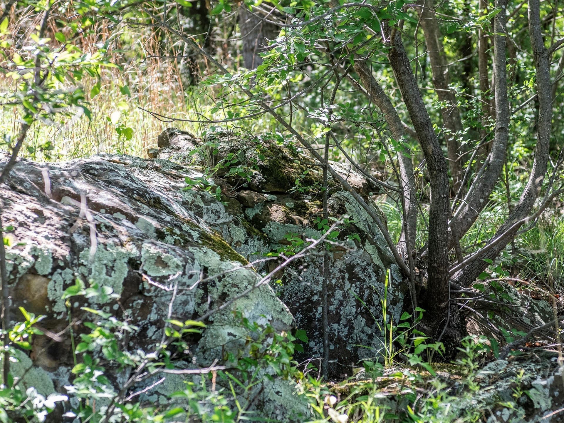 1.06 acres in Wise County gallery image 4