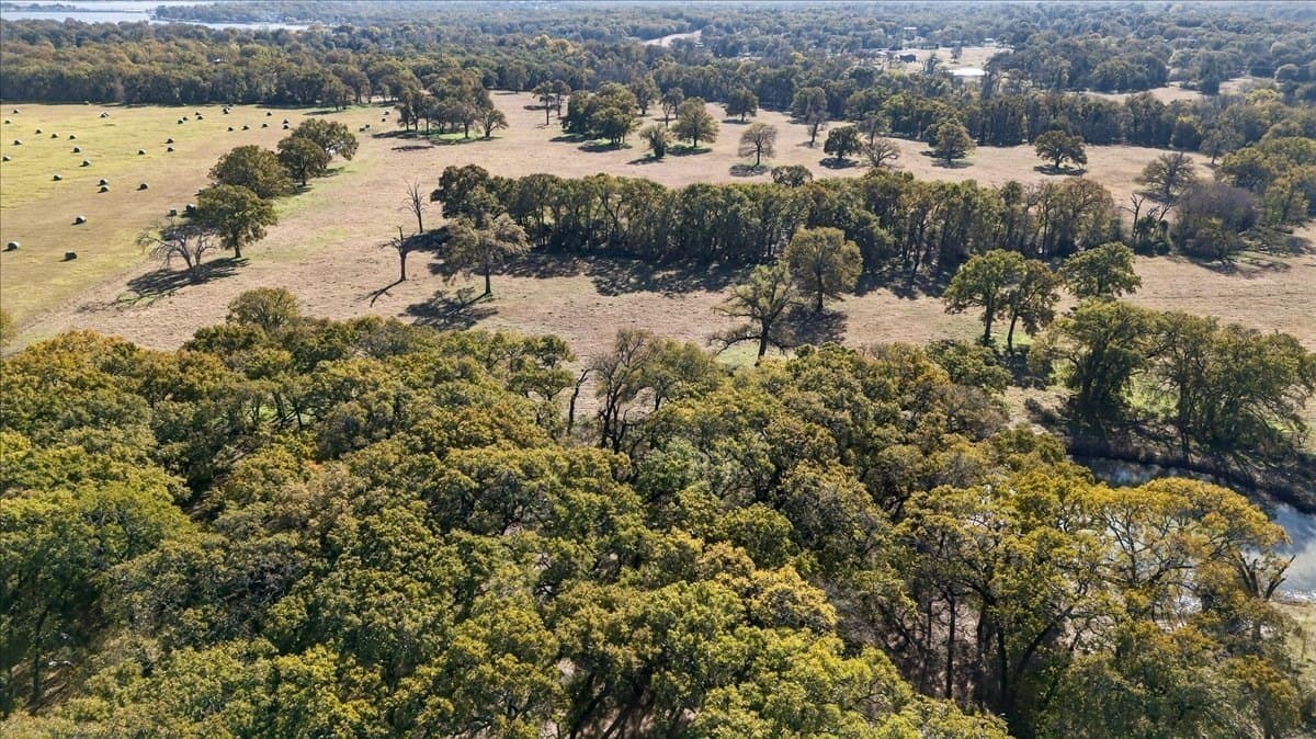 151.44 acres in Henderson County - photo 38