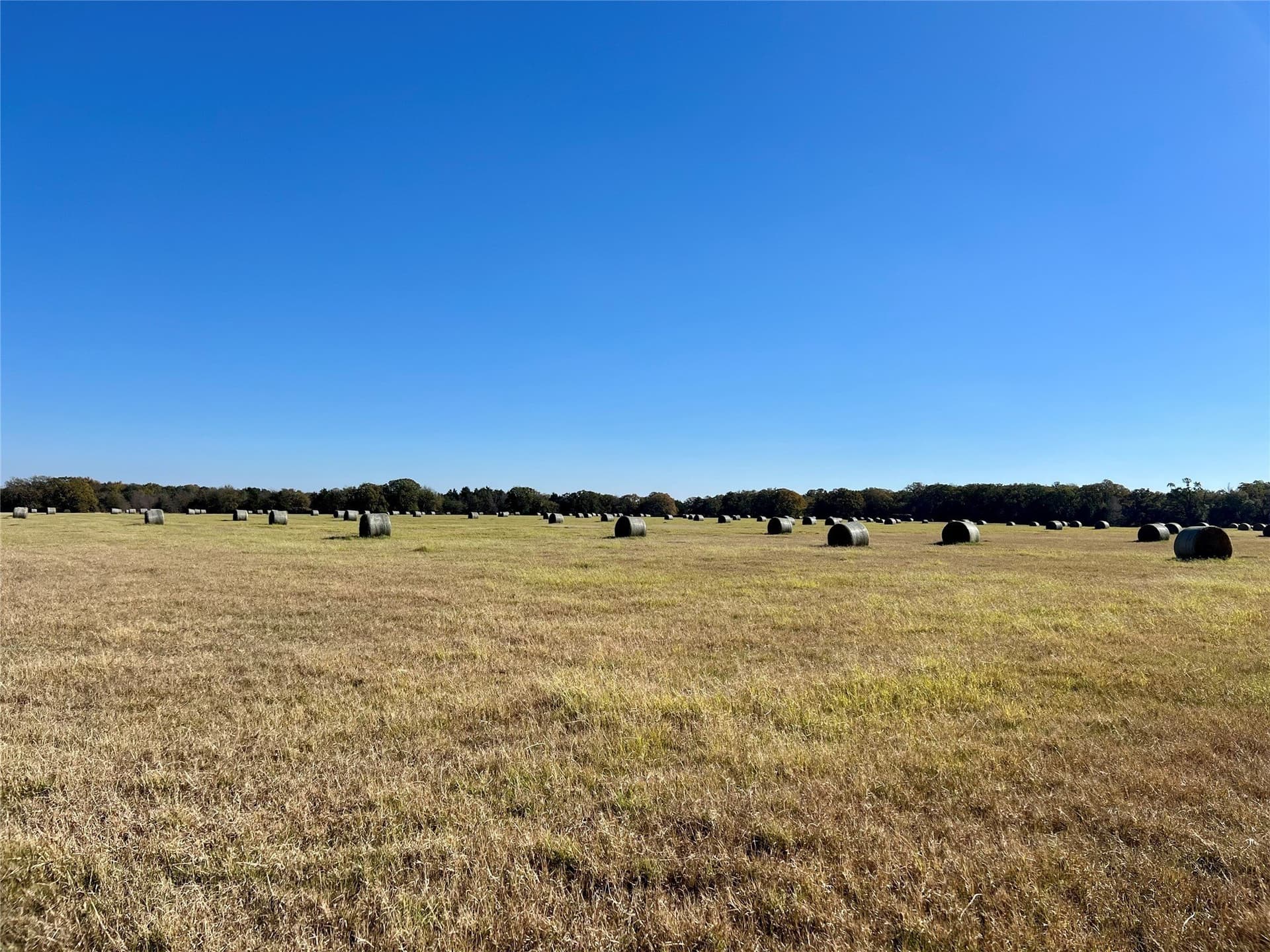 151.44 acres in Henderson County - photo 5