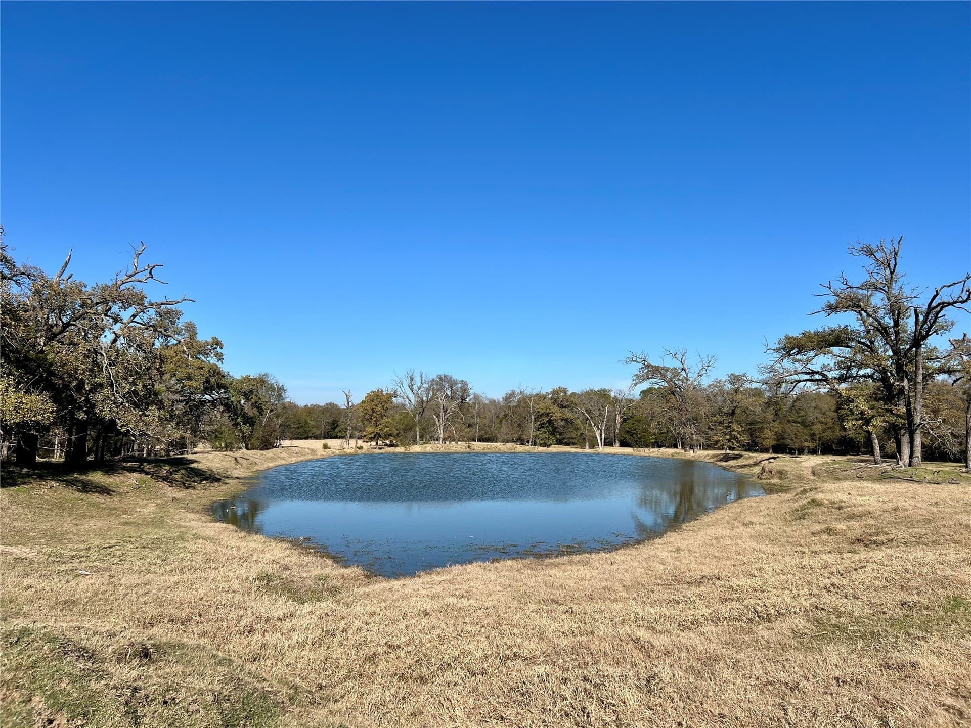 151.44 acres in Henderson County - photo 6