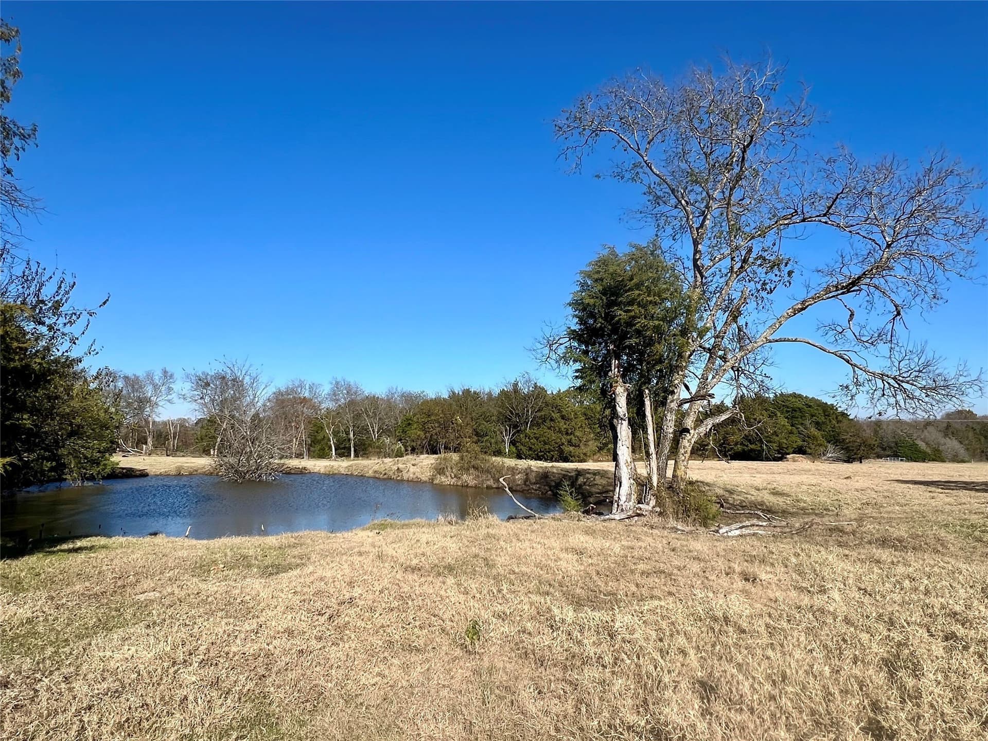 151.44 acres in Henderson County - photo 8