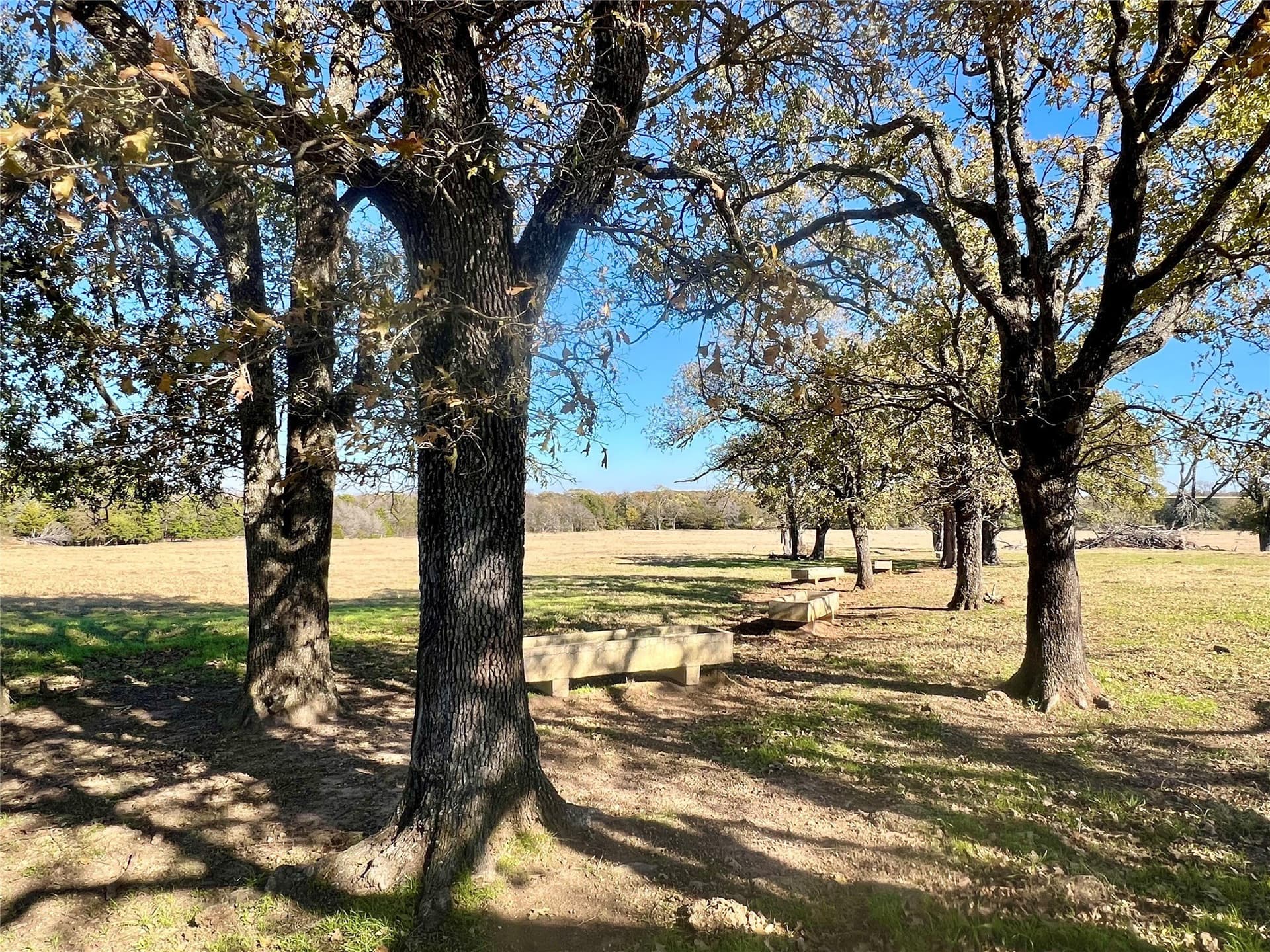 151.44 acres in Henderson County - photo 16