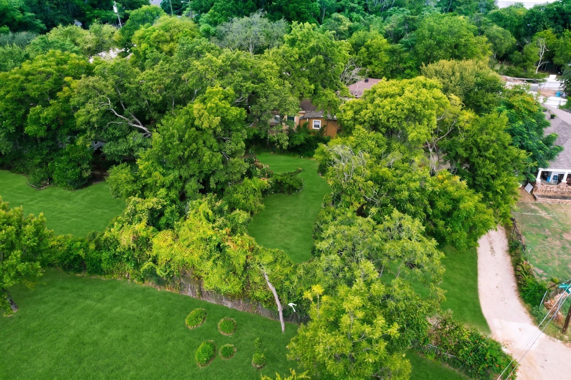 0.11 acres in Dallas County - photo 2