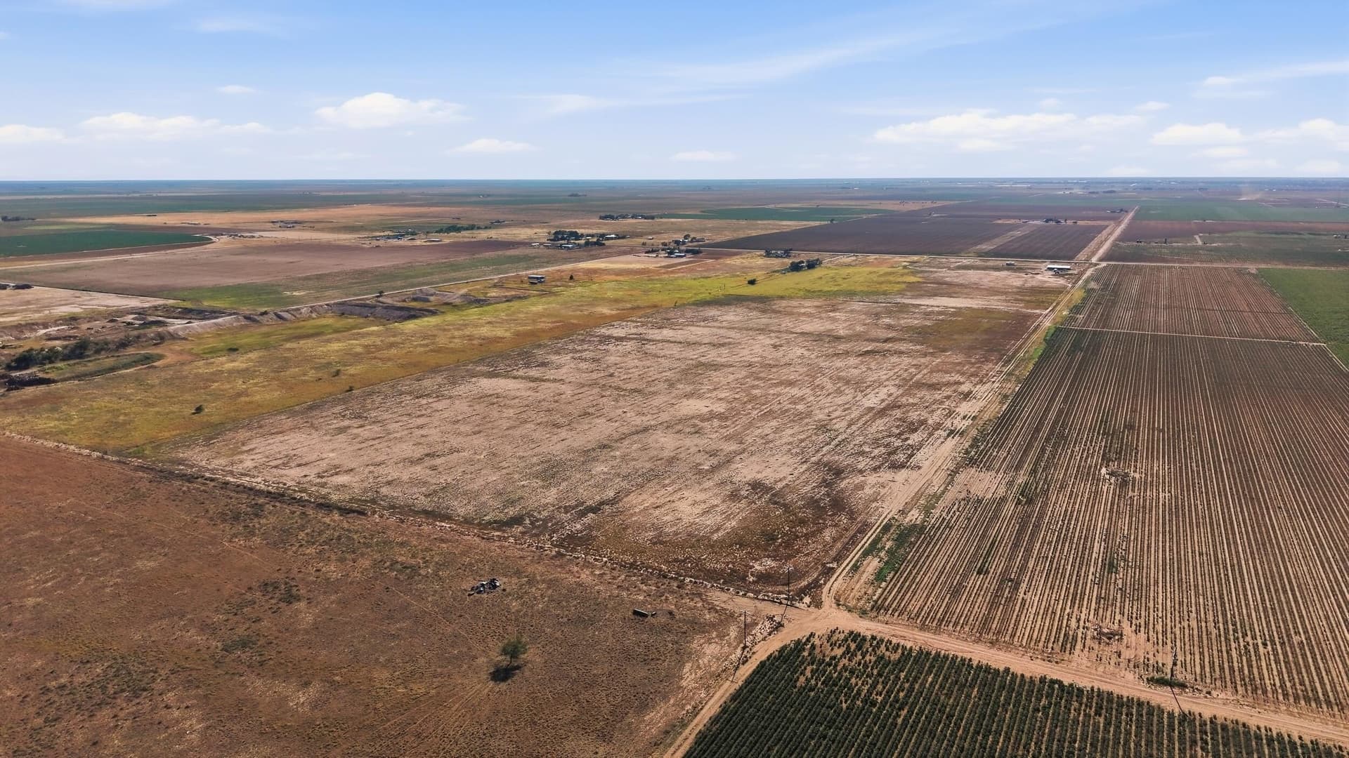 90 acres in Hockley County - photo 14