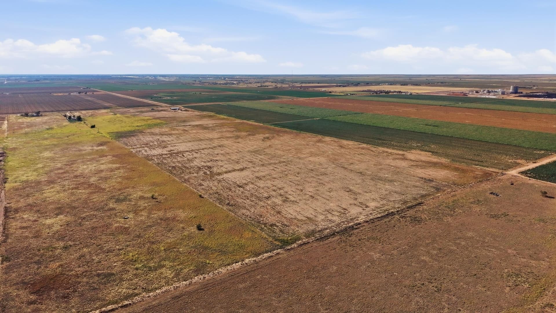 90 acres in Hockley County - photo 12