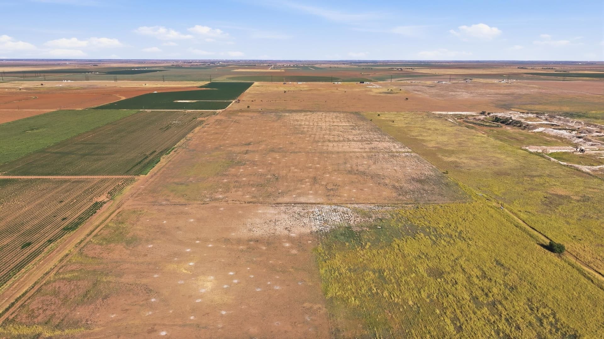 90 acres in Hockley County - photo 10