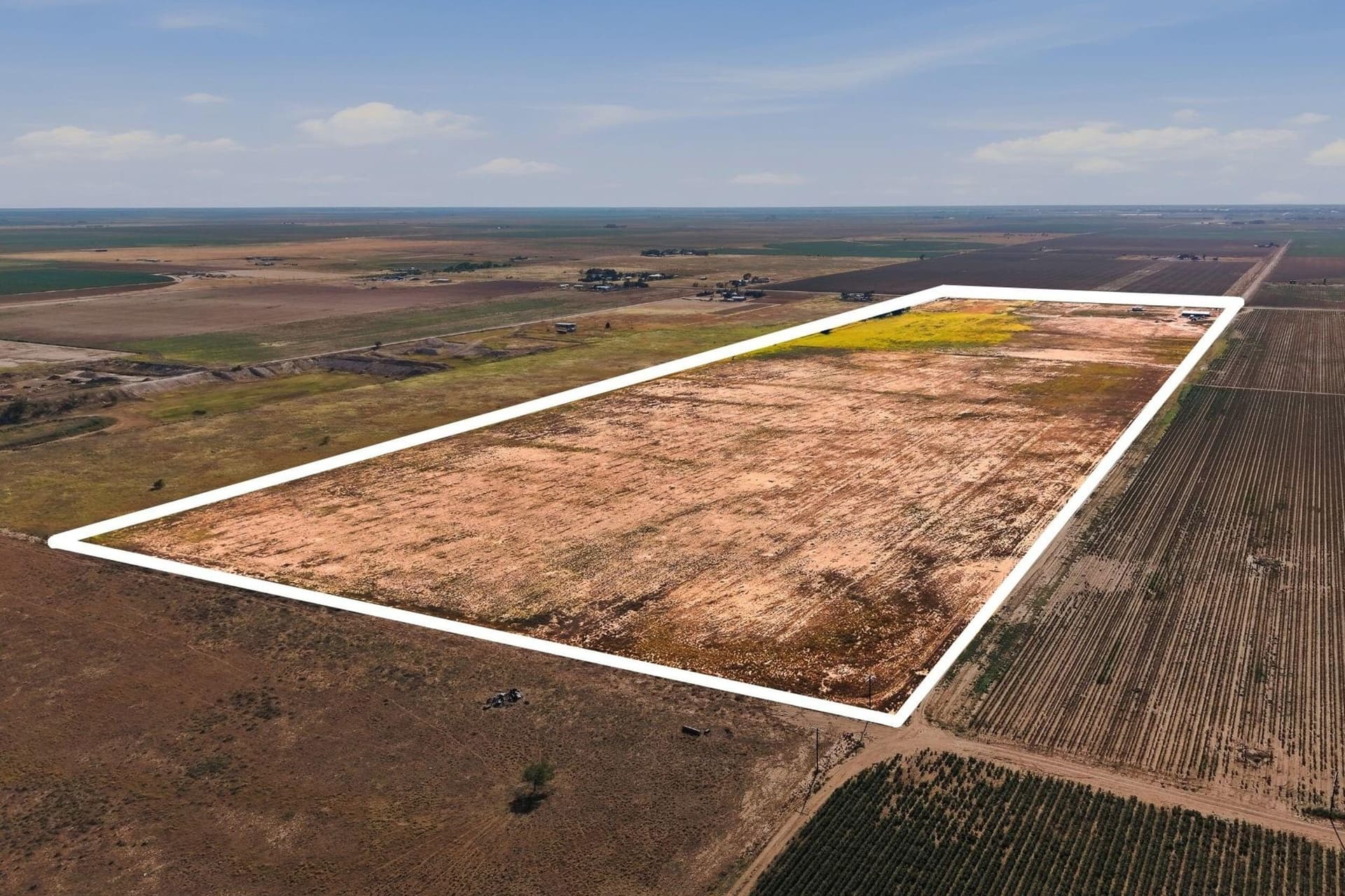 90 acres in Hockley County - photo 6