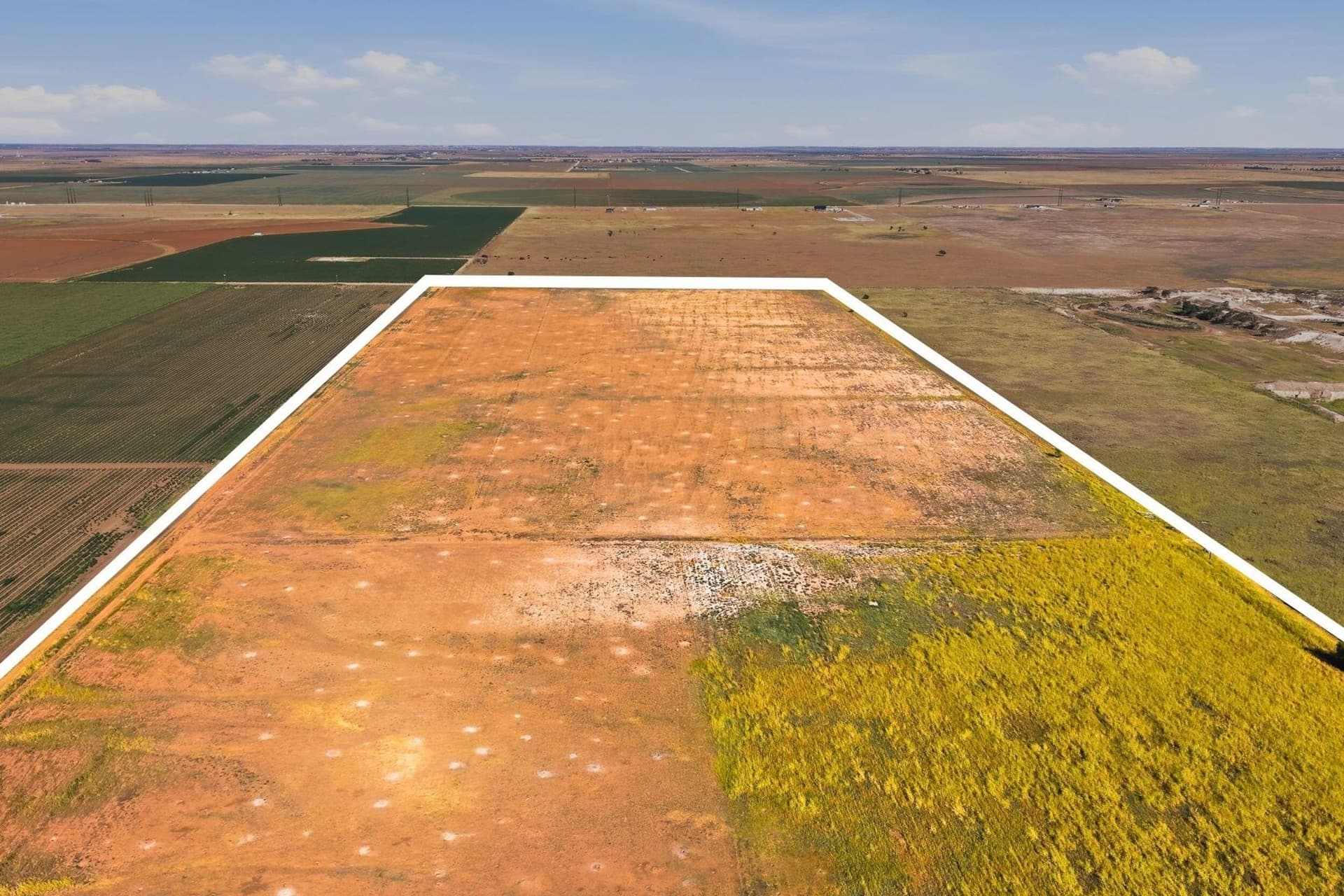 90 acres in Hockley County - photo 2