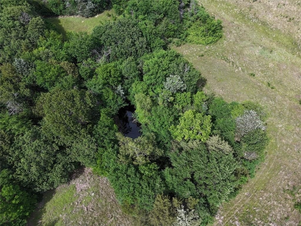 8.49 acres in Fannin County featured view
