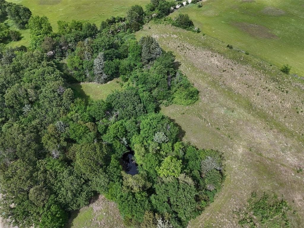 8.49 acres in Fannin County gallery image 4