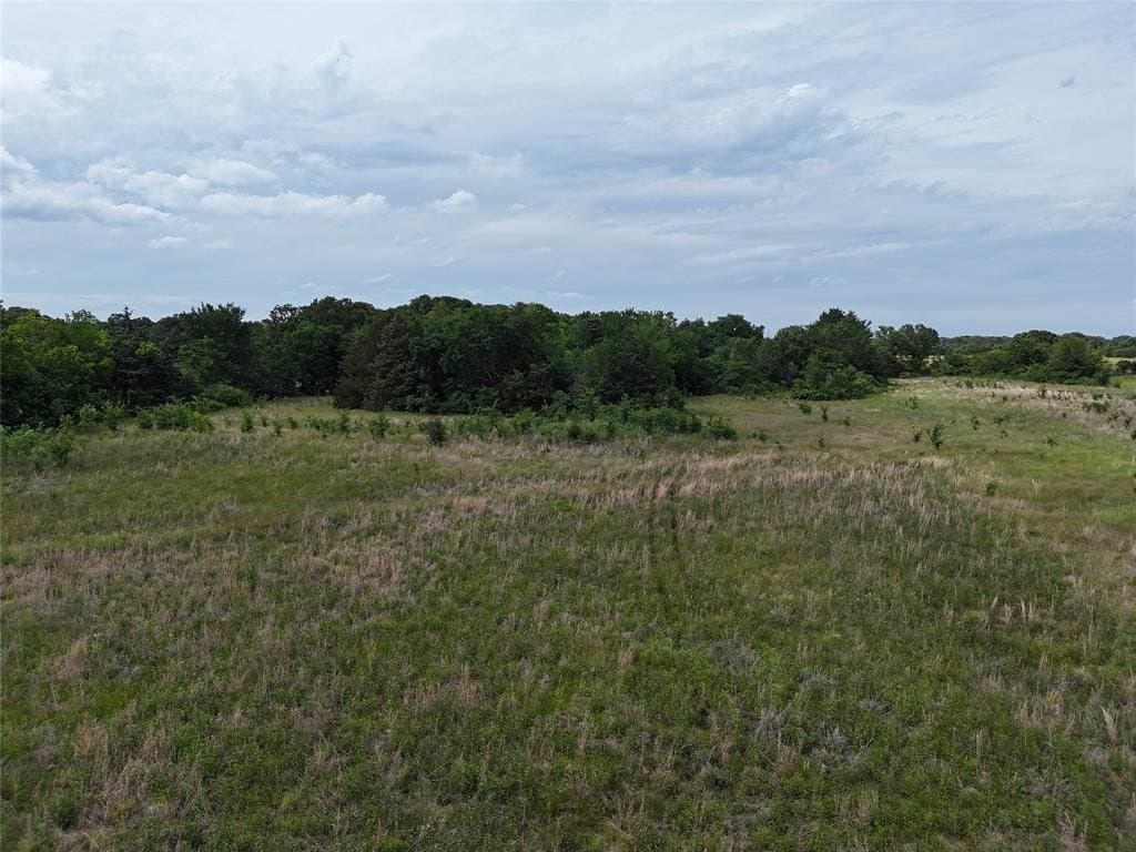 8.49 acres in Fannin County gallery image 2