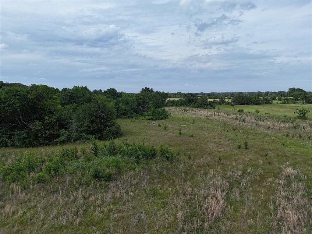 8.49 acres in Fannin County gallery image 3