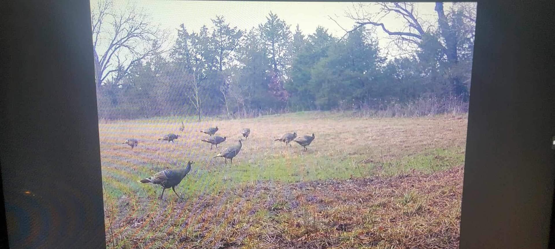 55 acres in Grayson County - photo 8