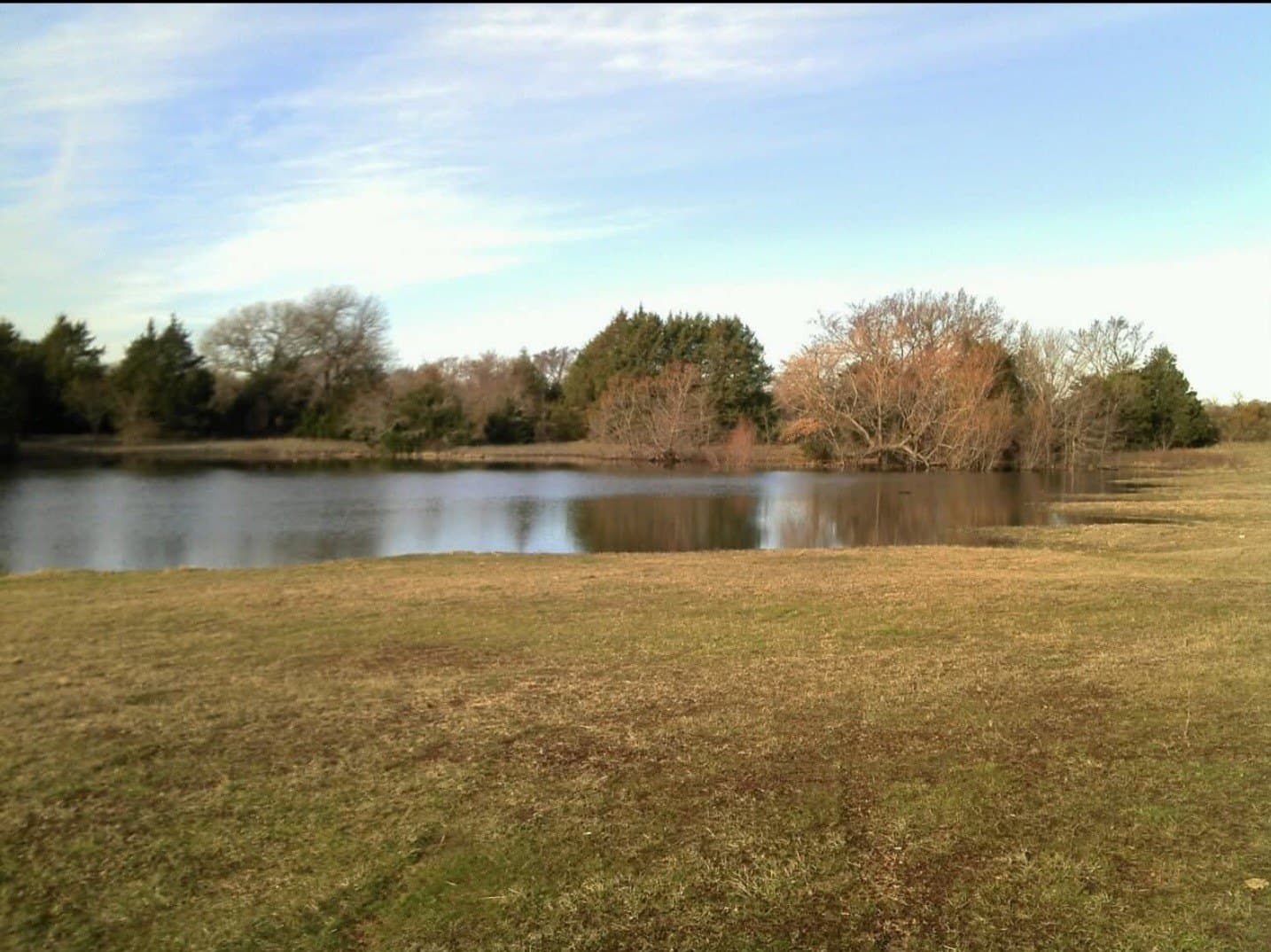 55 acres in Grayson County - photo 2