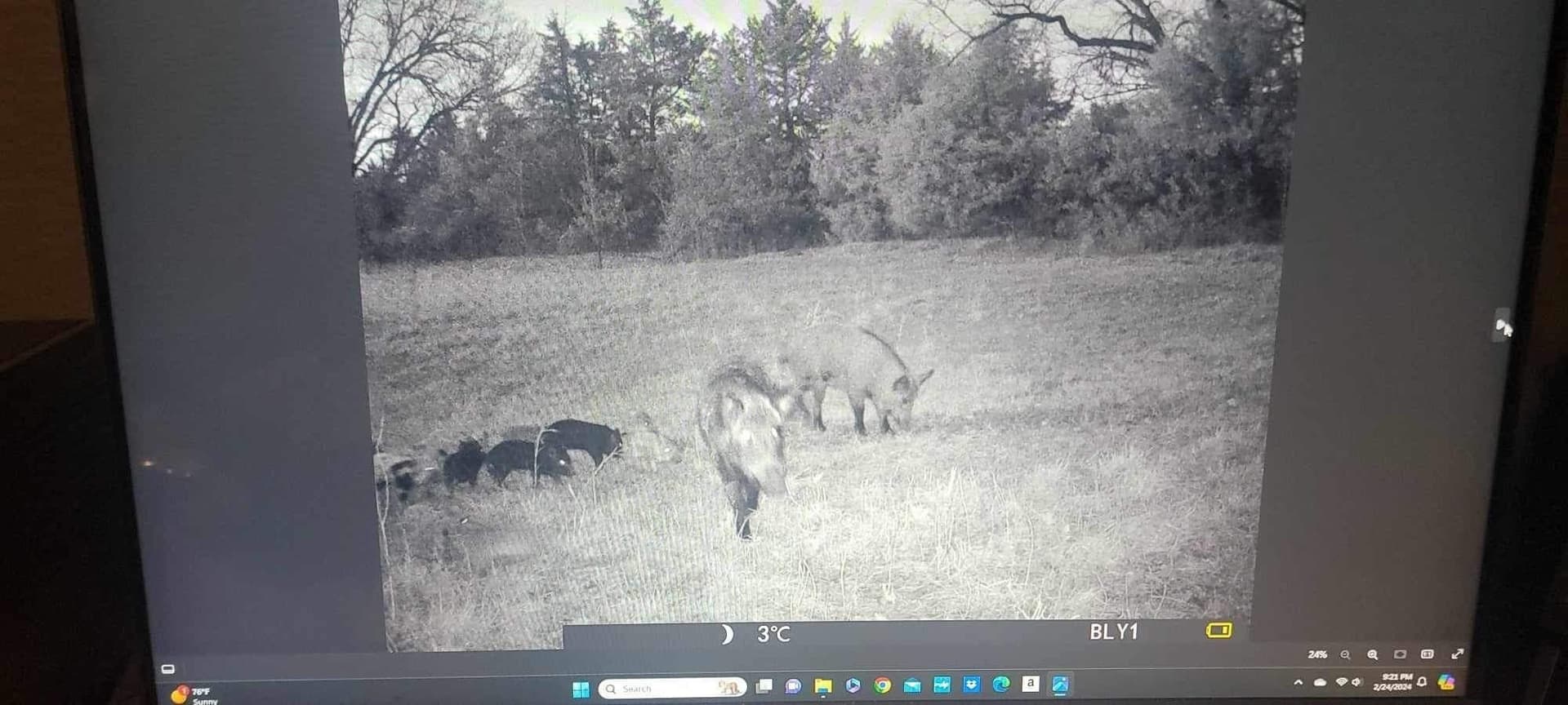 55 acres in Grayson County - photo 7