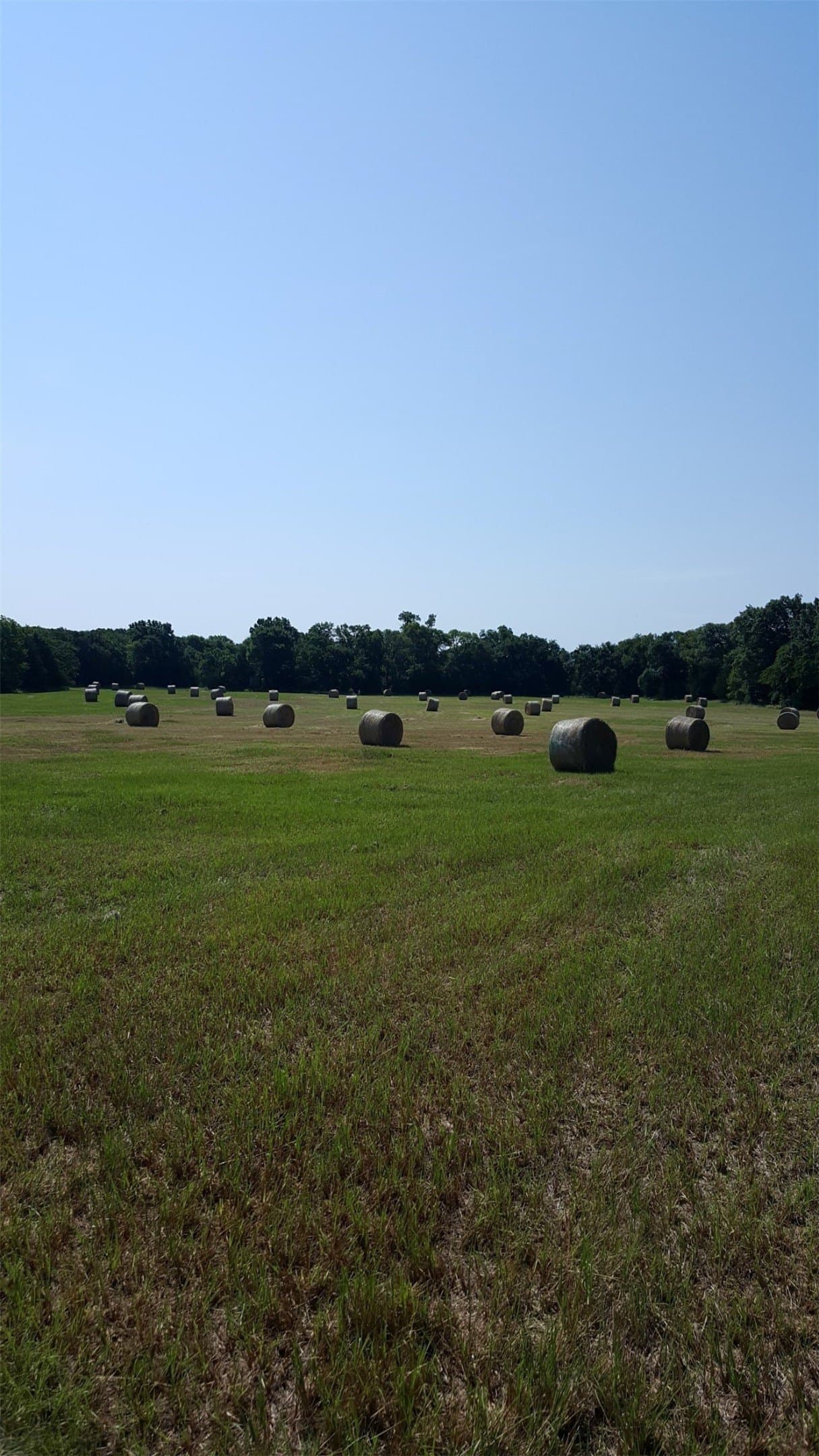 55 acres in Grayson County - photo 9