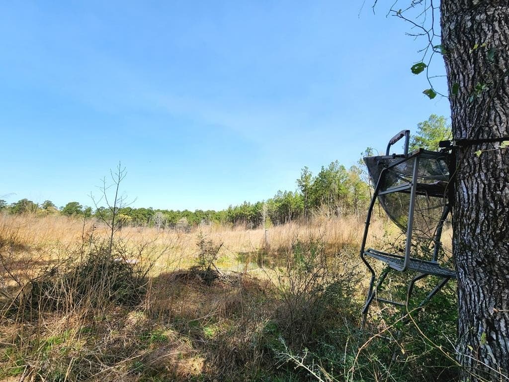 22.8 acres in Texas County featured view