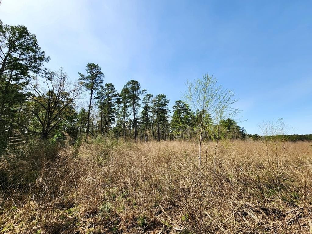 22.8 acres in Texas County gallery image 4