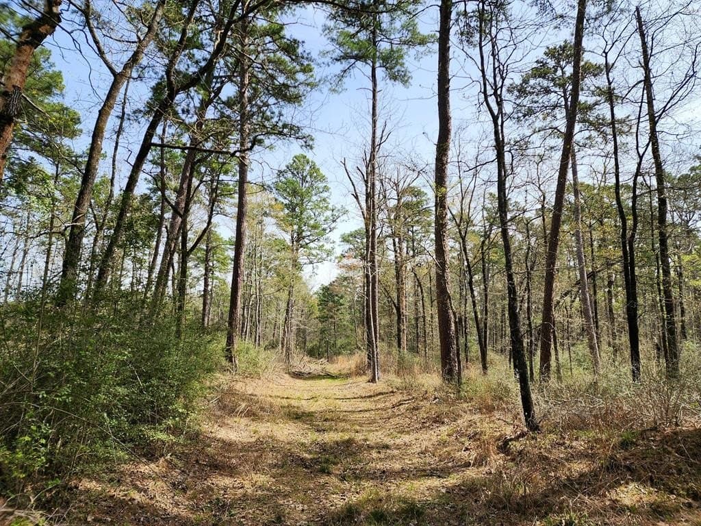 22.8 acres in Texas County gallery image 2